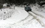 Snow Flake Chase Jan 2012 017
