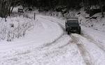Snow Flake Chase Jan 2012 018