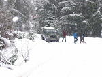 Snow Flake Chase Jan 2012 036
