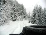 Snow Flake Chase Jan 2012 080