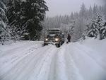 Snow Flake Chase Jan 2012 082