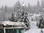 Snow Flake Chase Jan 2012 092