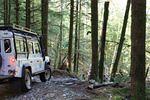 IMG_2393a.JPG
