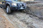 IMG_2424a.JPG