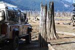 IMG_2444a.JPG