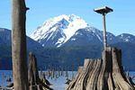 IMG_2468a.JPG