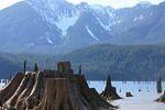 IMG_2471a.JPG