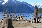 IMG_2472a.JPG