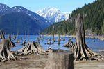 IMG_2475a.JPG