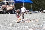 Fossil beach IMG_16112012-04-212012.jpg