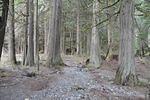 DSC_5912.JPG