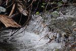 DSC_5914.JPG