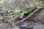 DSC_5915.JPG