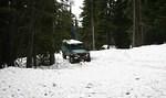 032 Whipsaw May 2012