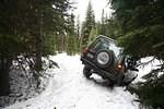 038 Whipsaw May 2012