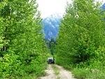 Nahatlatch Valley - June 2012 038