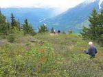 IMG_0392.JPG