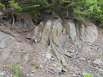 IMG_0407.JPG