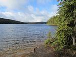 IMG_1393.JPG