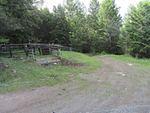 IMG_1401.JPG