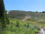 The surface was steep and loose but progress in low gear was steady Poison Mountain - August 2012 044