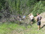 Beetle kill blocking the road - August 2012 153