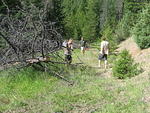 Almost clear, no one has driven this road for a long time - August 2012 154