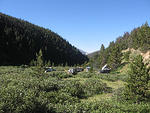 IMG_1572.jpg