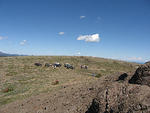 IMG_1579.jpg