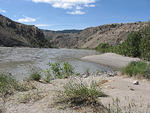 IMG_1538.jpg