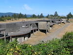 Oregon Coast - Portland ABFM Aug 2012 168