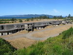 Oregon Coast - Portland ABFM Aug 2012 171
