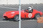 DSC_7384.JPG