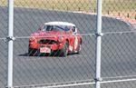 DSC_7391.JPG