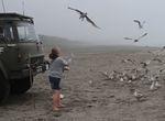 DSC_7565 feeding frenzy.jpg