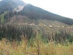 IMG_1811.jpg