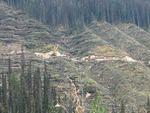 IMG_1812.jpg