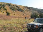 IMG_1817.jpg