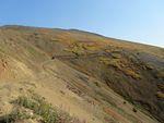 IMG_1826.jpg