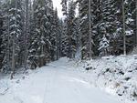 IMG_1904.JPG