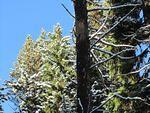 IMG_1909.JPG