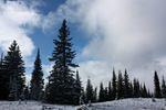 IMG_9332.JPG