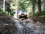 Whipsaw June 2013 007