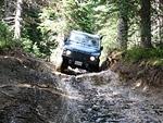 Whipsaw June 2013 008