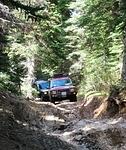 Whipsaw June 2013 010