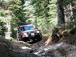 Whipsaw June 2013 011