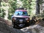 Whipsaw June 2013 012
