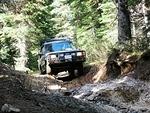 Whipsaw June 2013 014