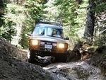 Whipsaw June 2013 015