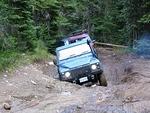Whipsaw June 2013 022